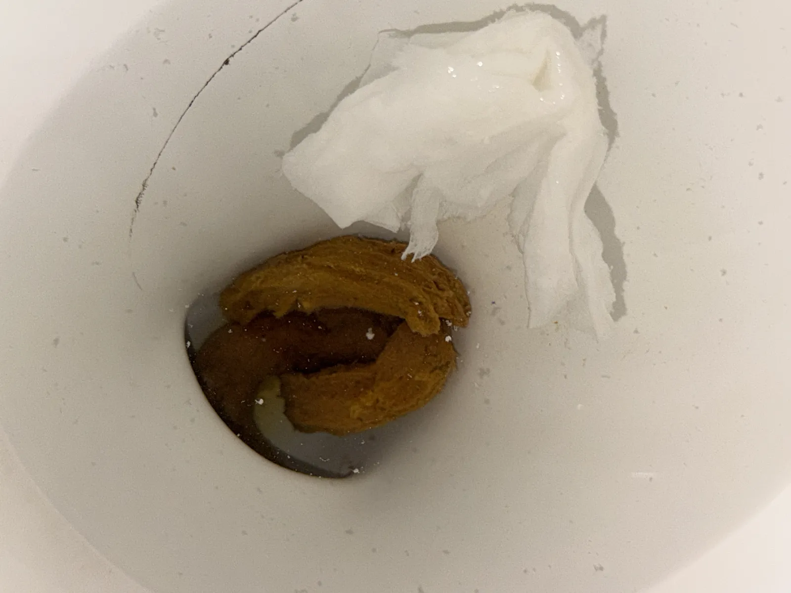 Ice cream shit straight out of my ass
