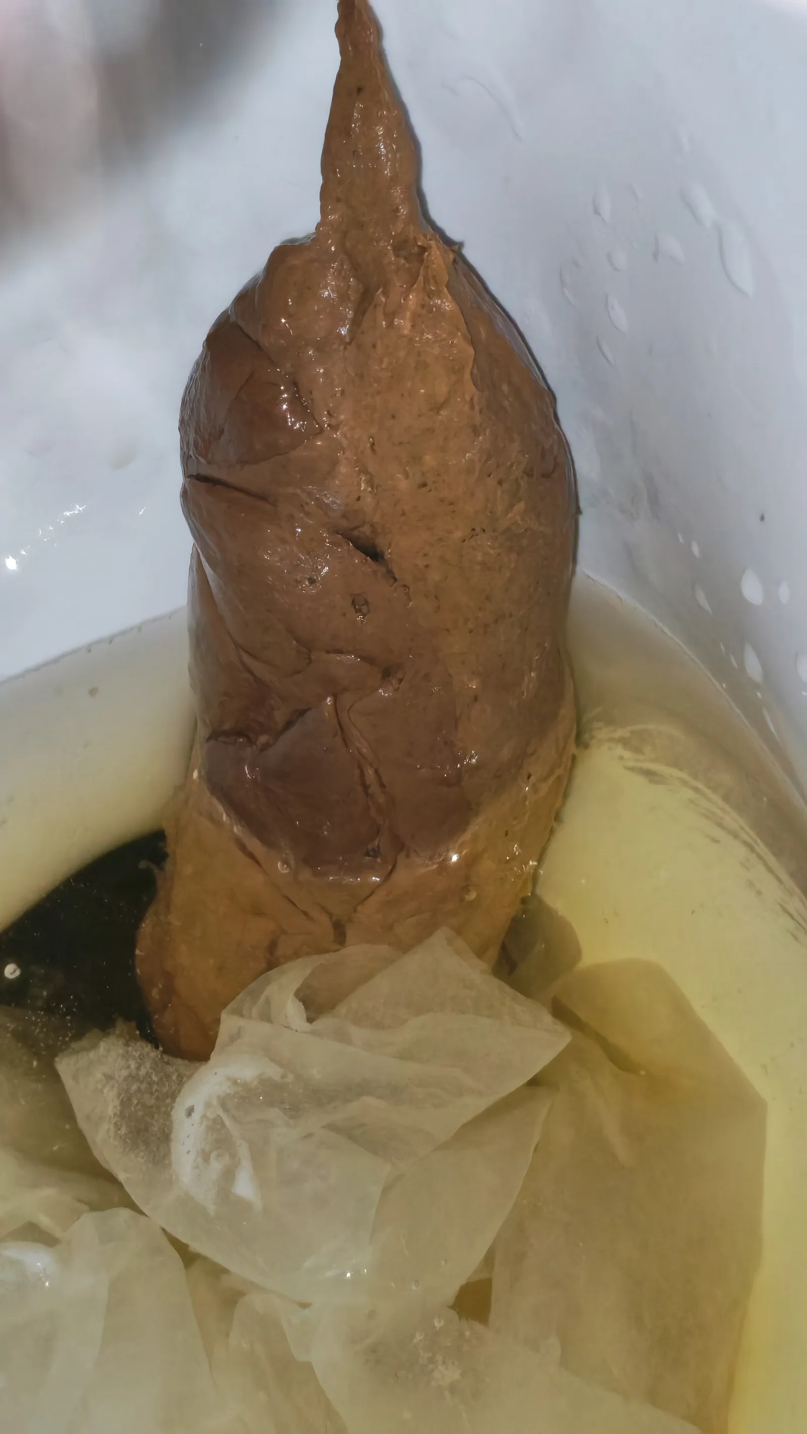 Sinking Shit