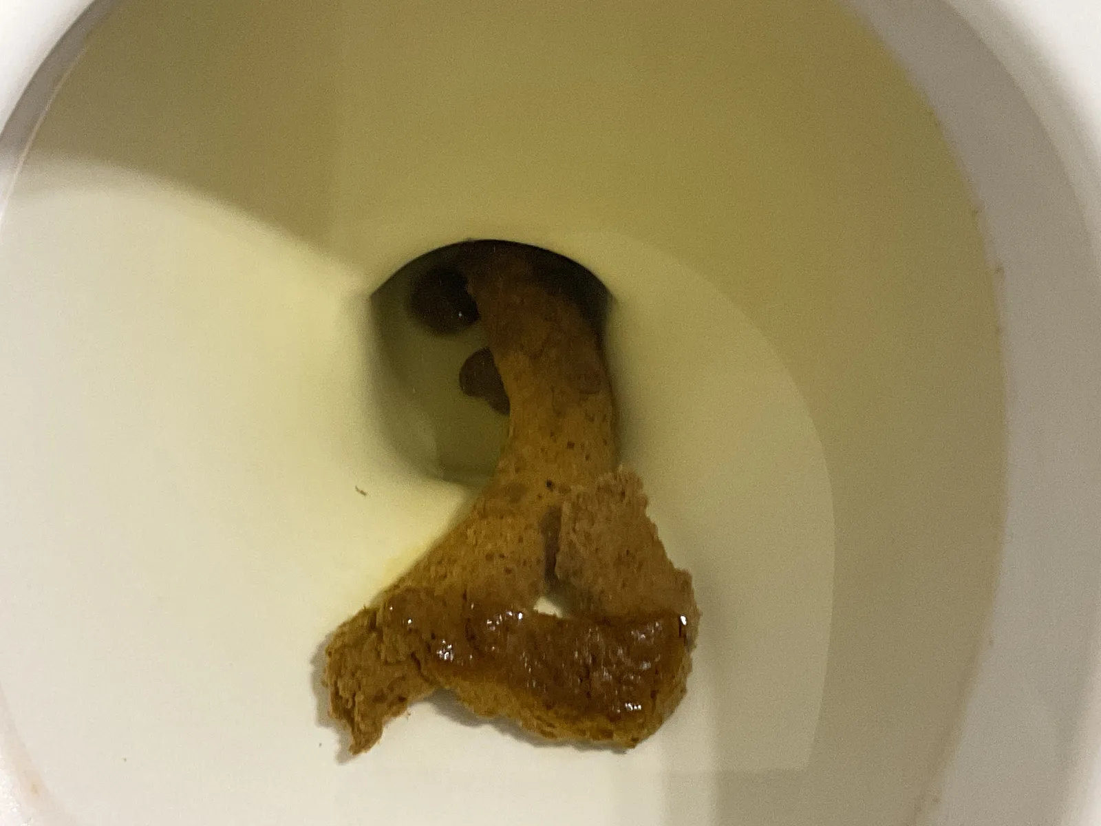 The longest snake ever
