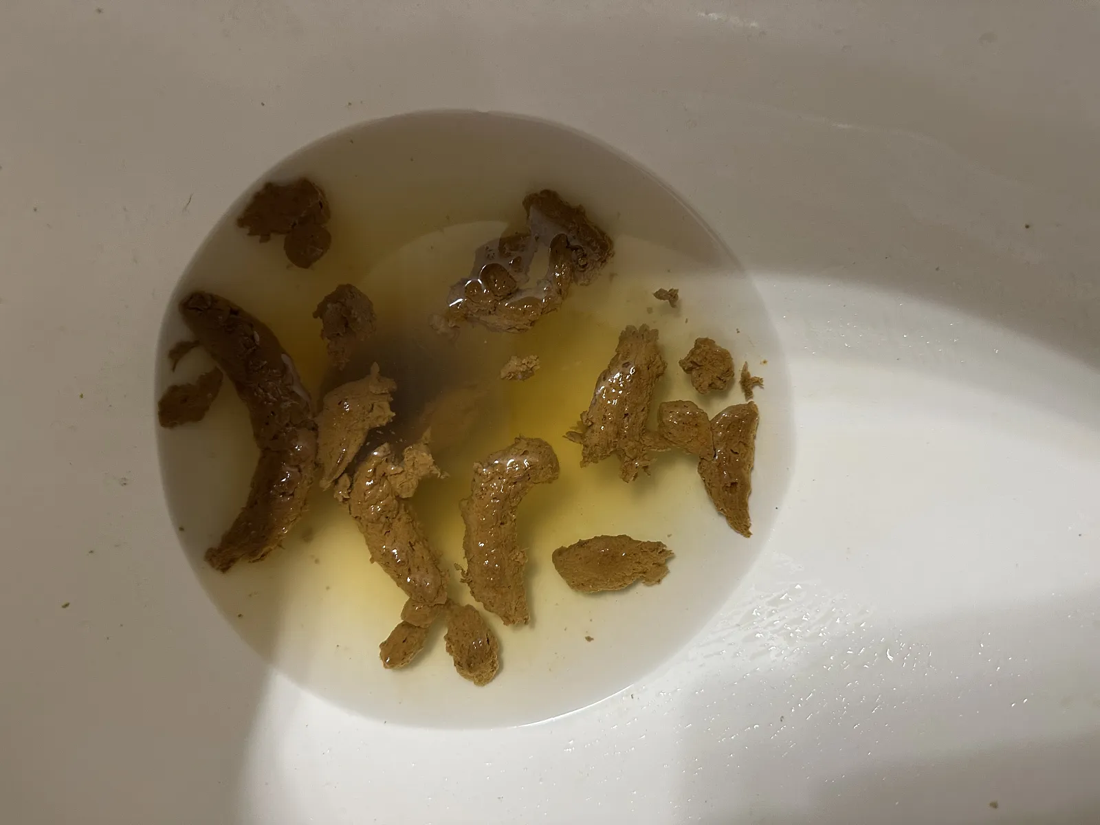 L