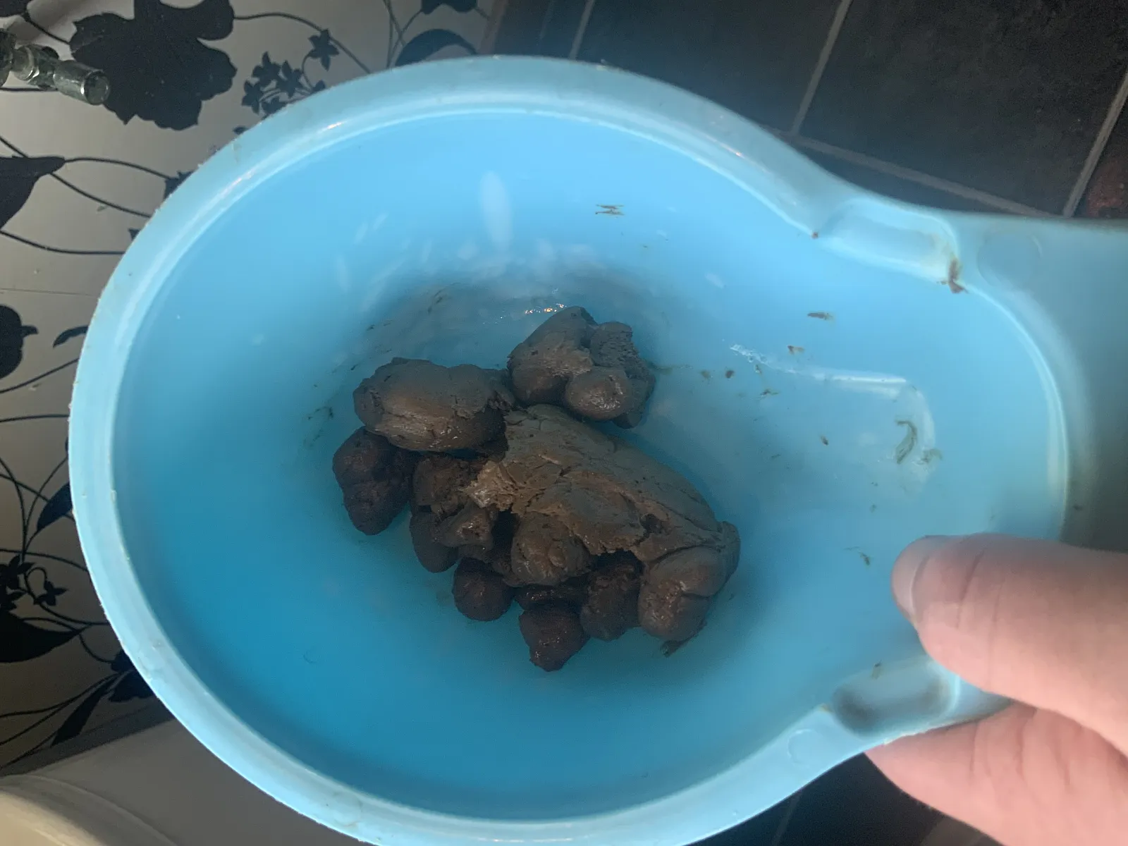 Poop poop