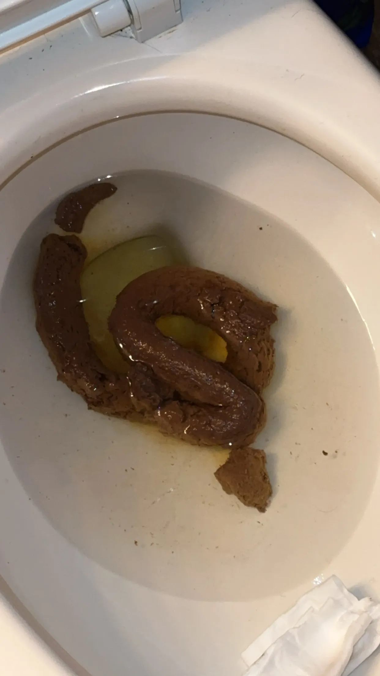 The chamber of secrets has been opened