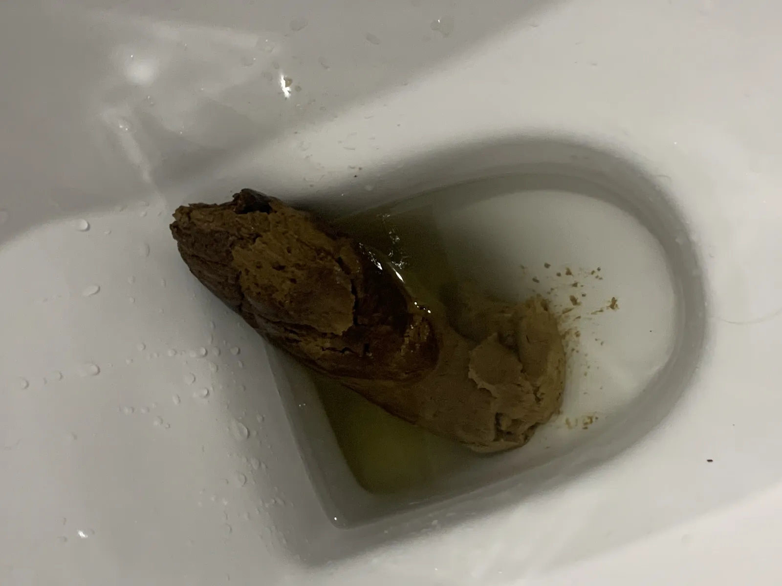 Kaiju Shit.
