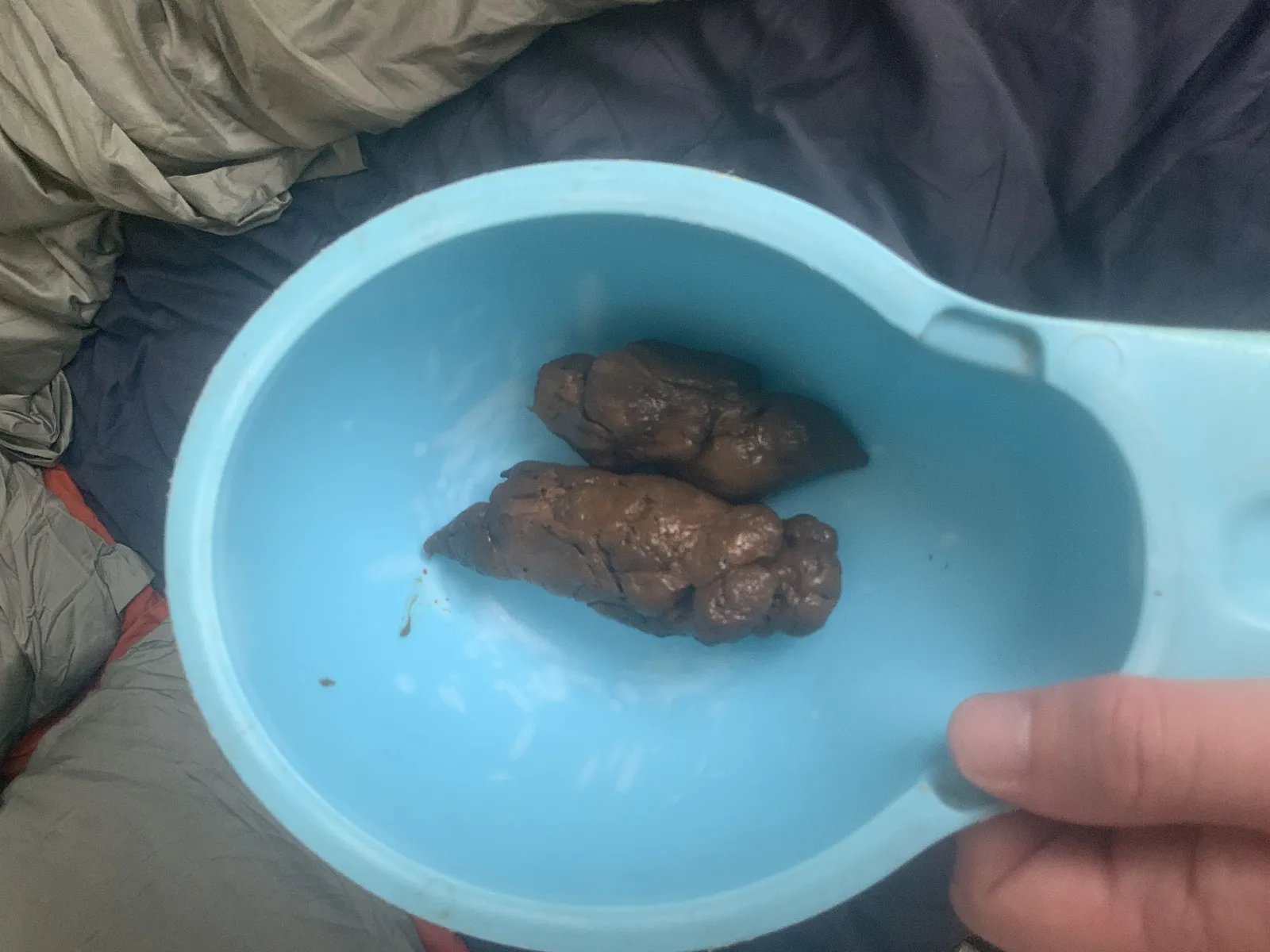Poop poop