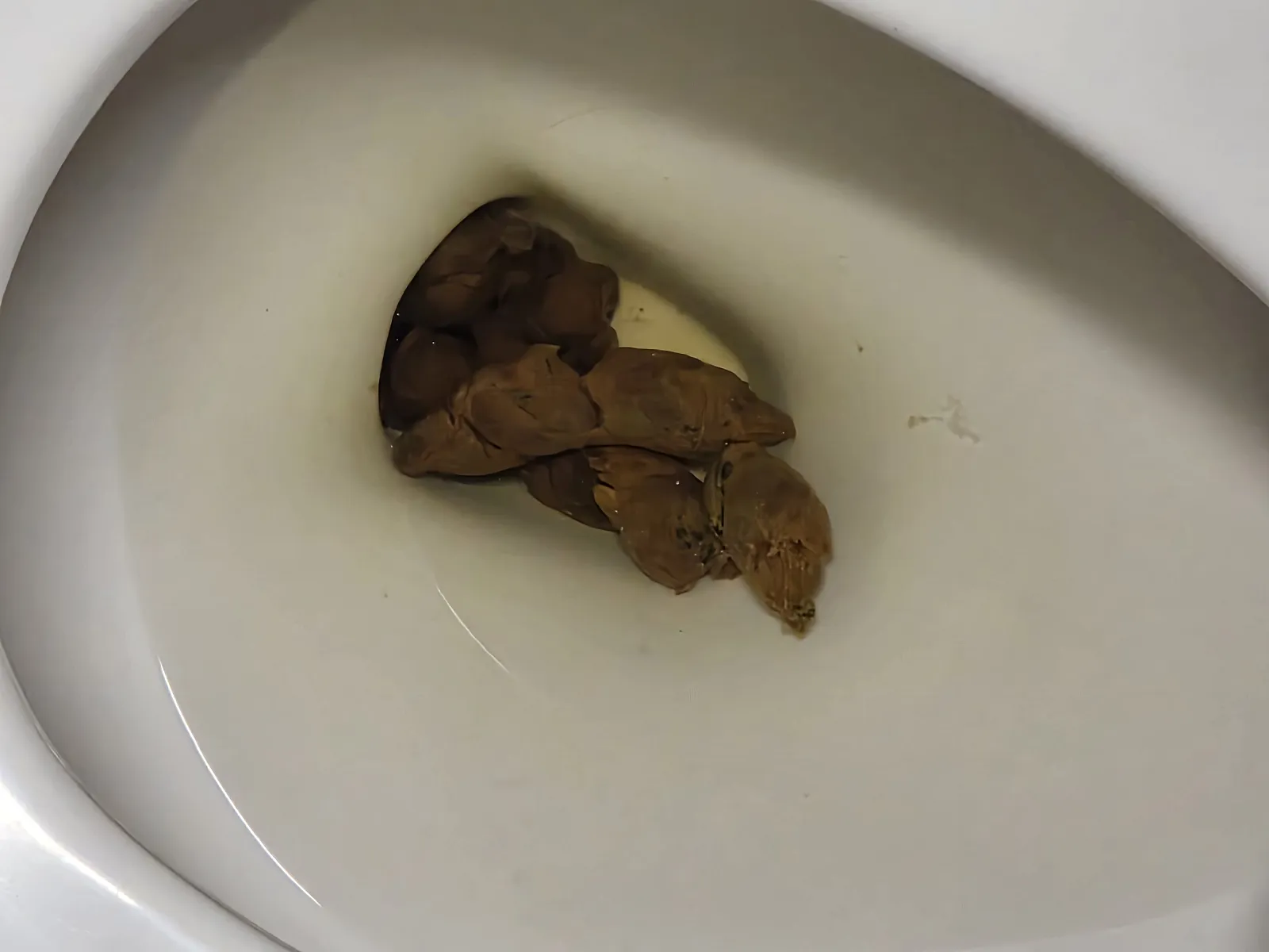 twix bar