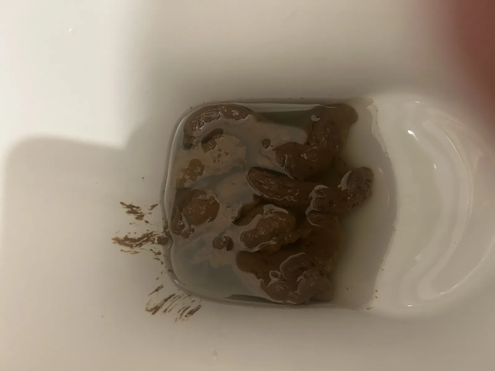 Mystery meat