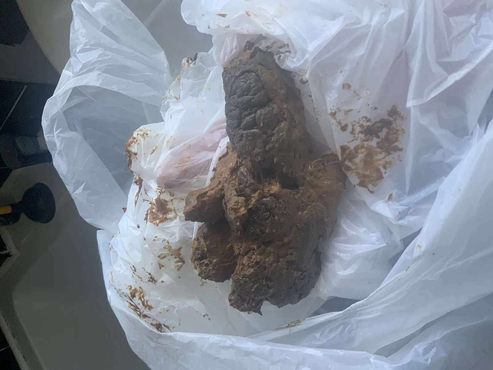 Big  poop