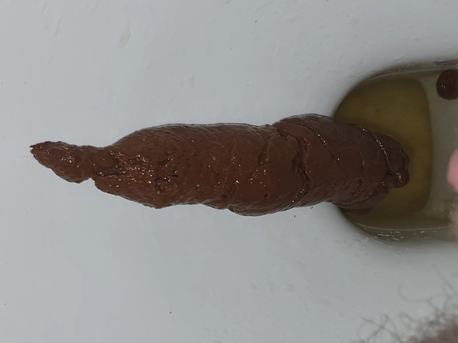 Slid right down into the bowl
