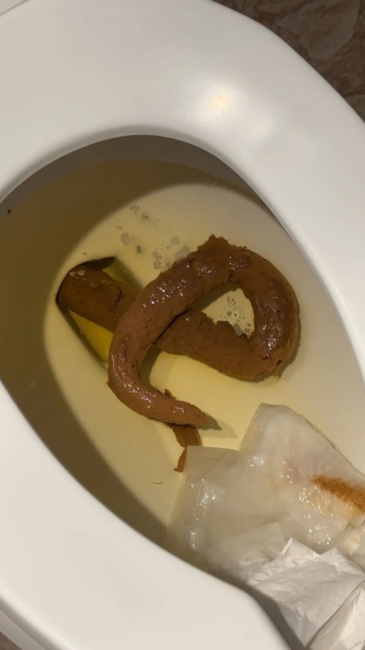 The Indian Water moccasin