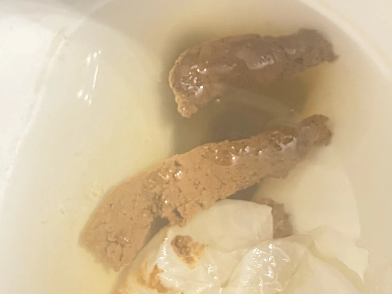 Nice poop before bed