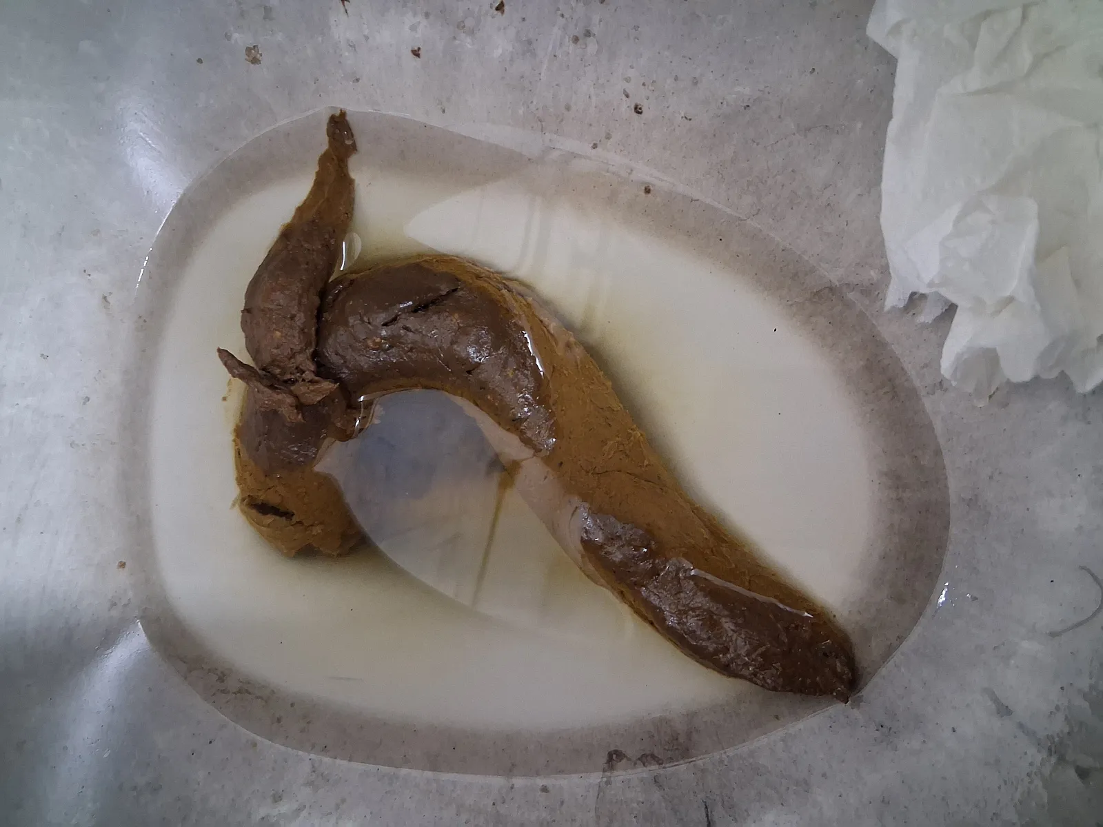 Ole longturd