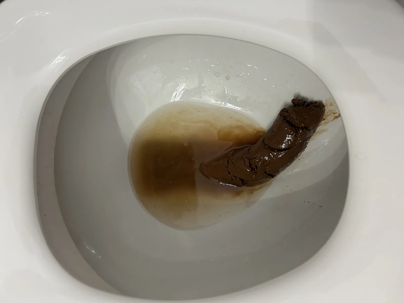 Fatty log