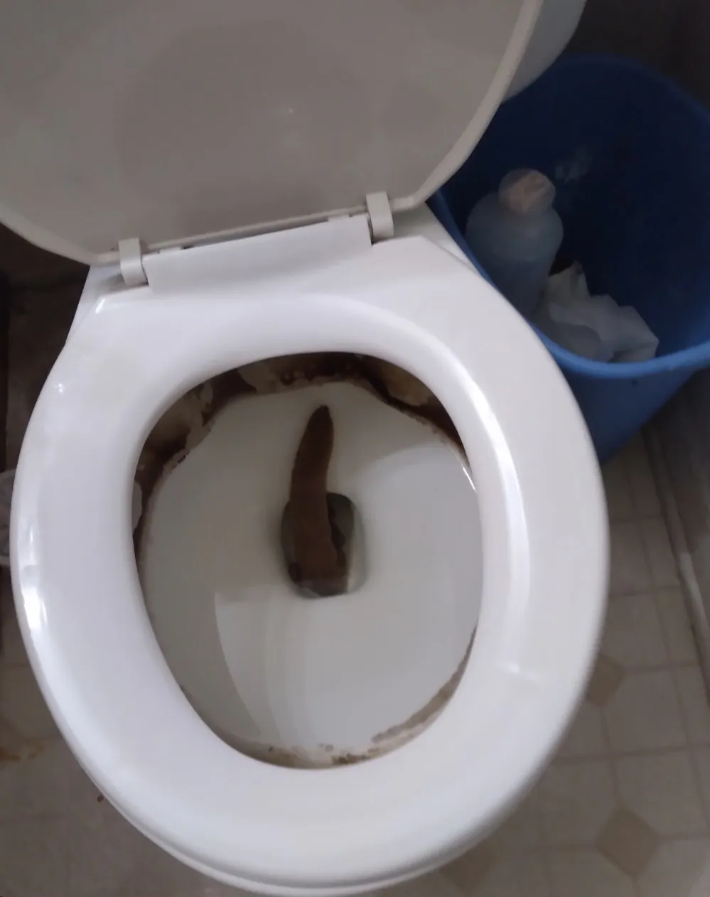 Can’t believe this was my shit