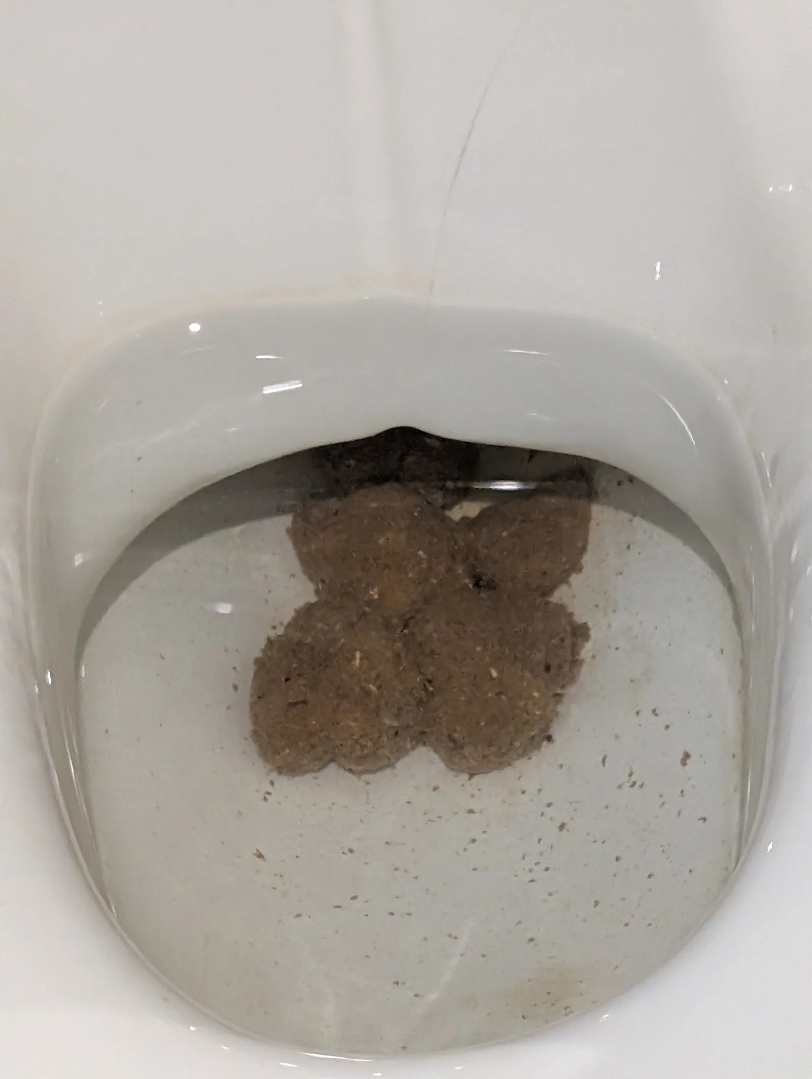 Thou shall not flush