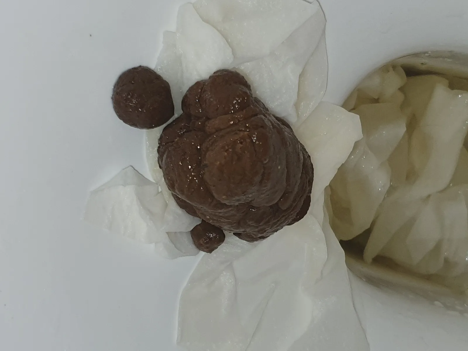 lumpy space poop
