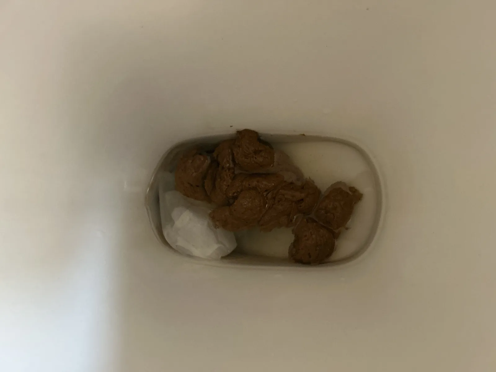 After you eat at Haznis kebabmacka poop so nice.