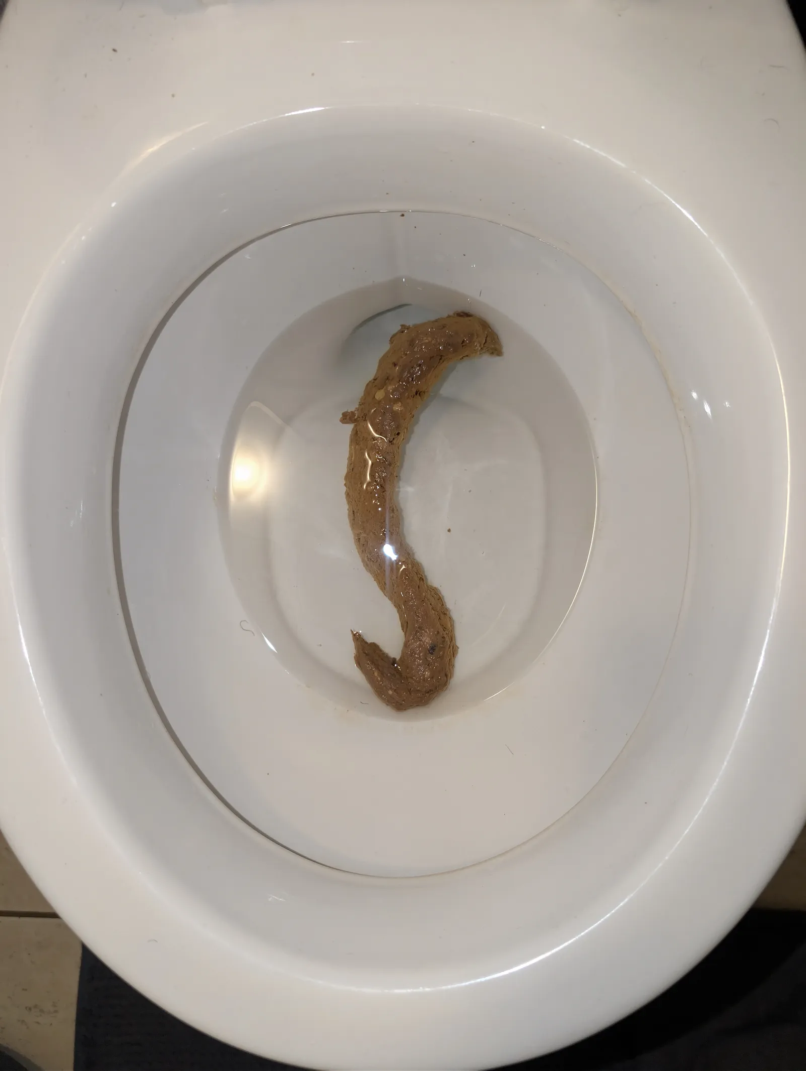 Big long Poop