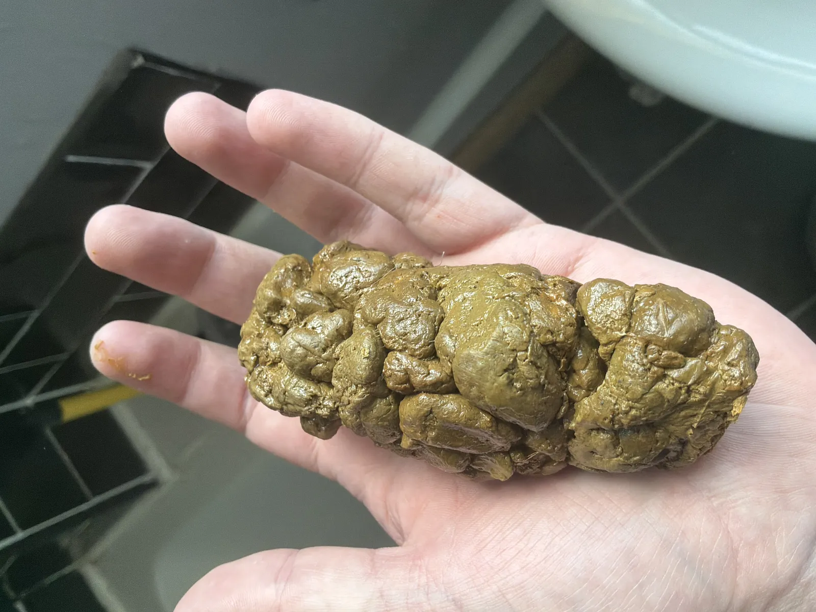 dig poop