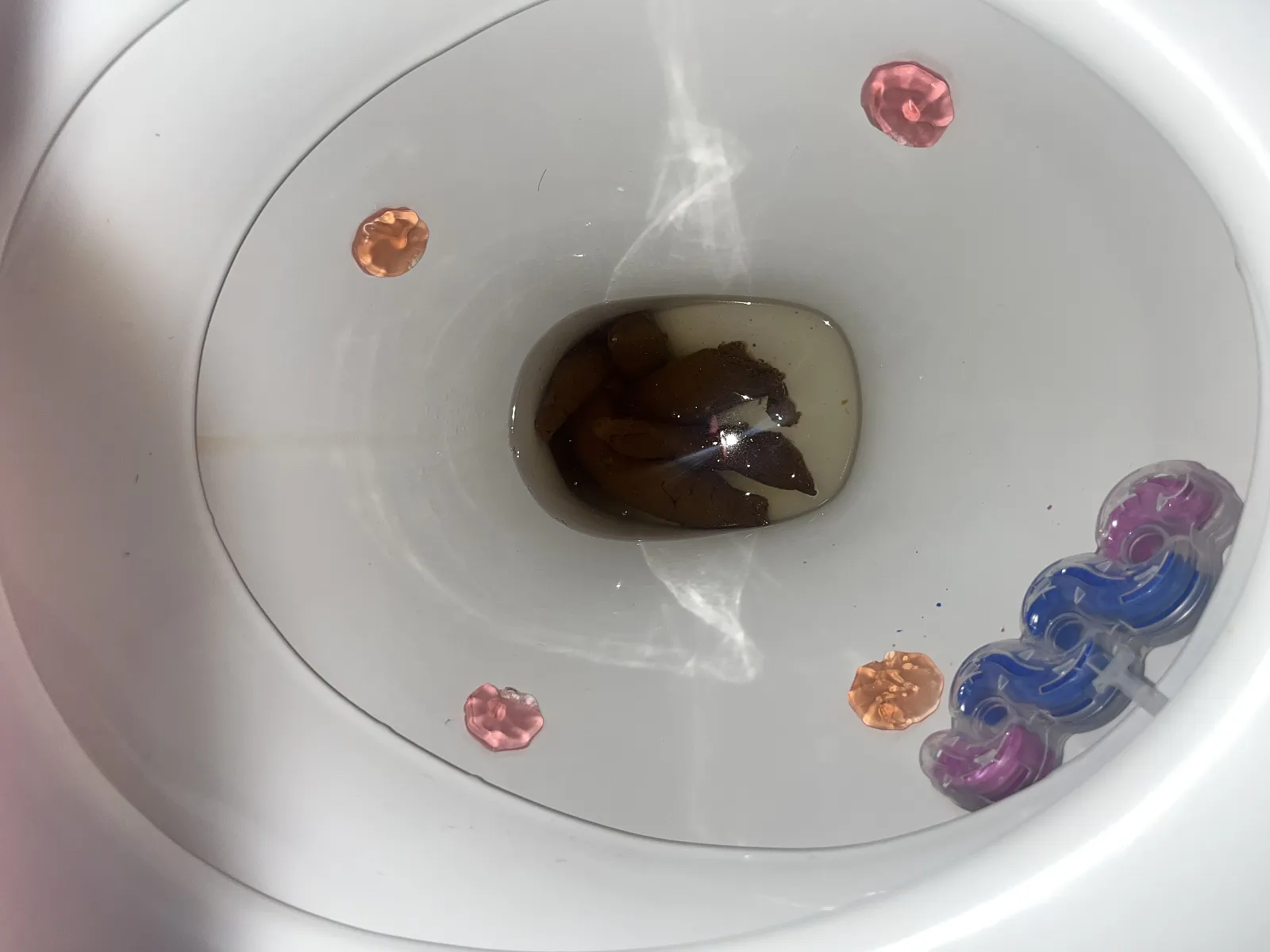 Sausages poop