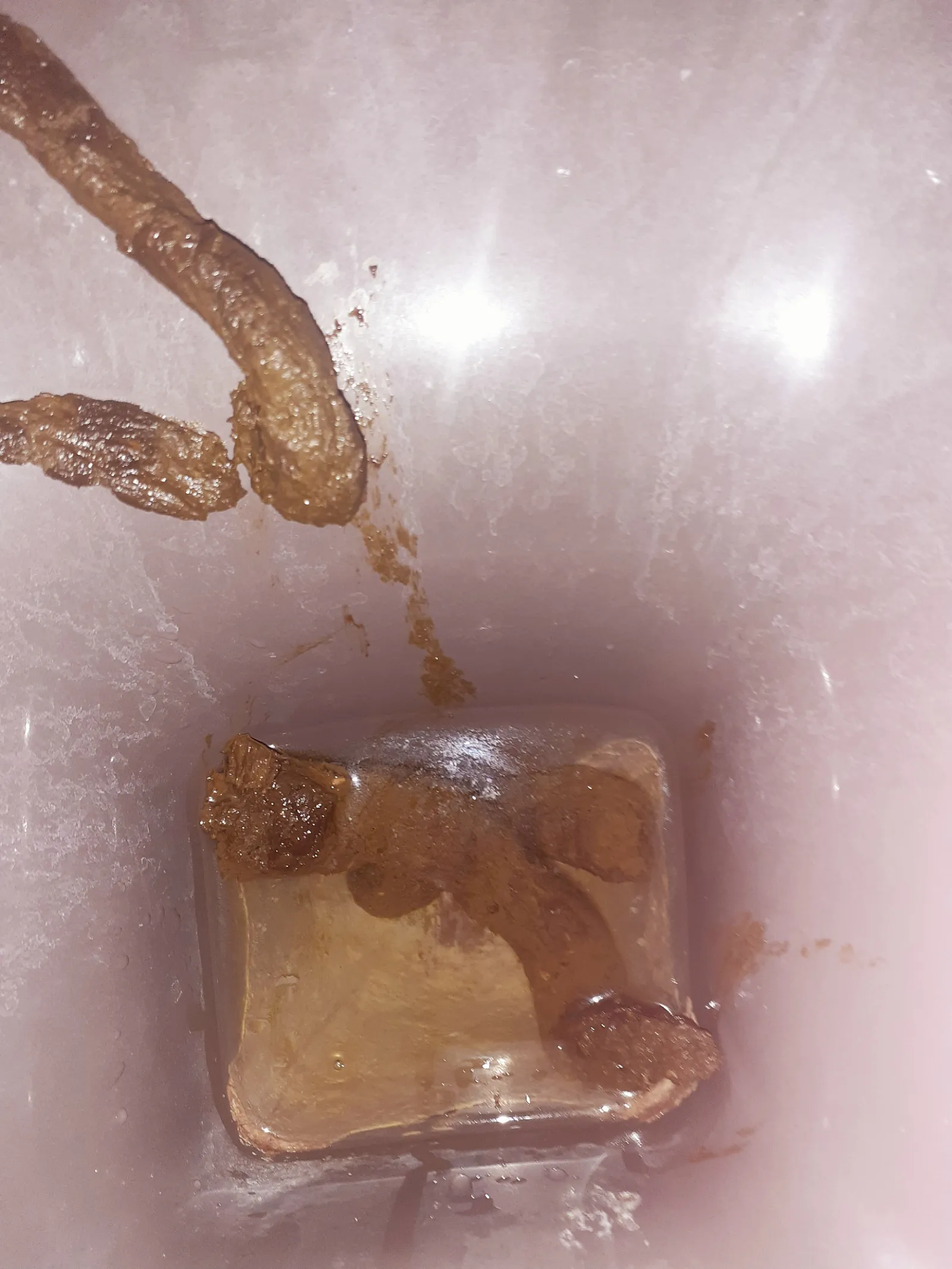 my fresh turds