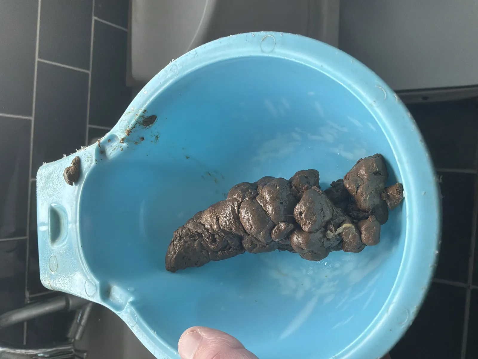 dig poop