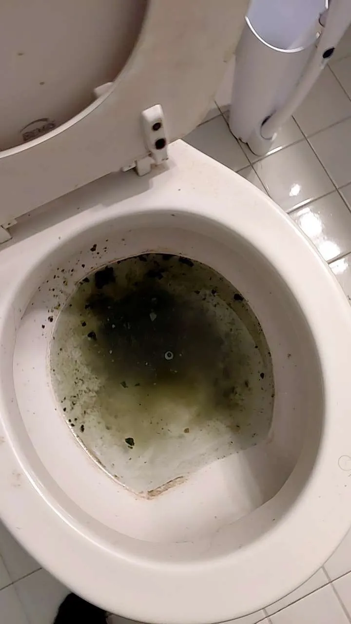 Green masterpiece