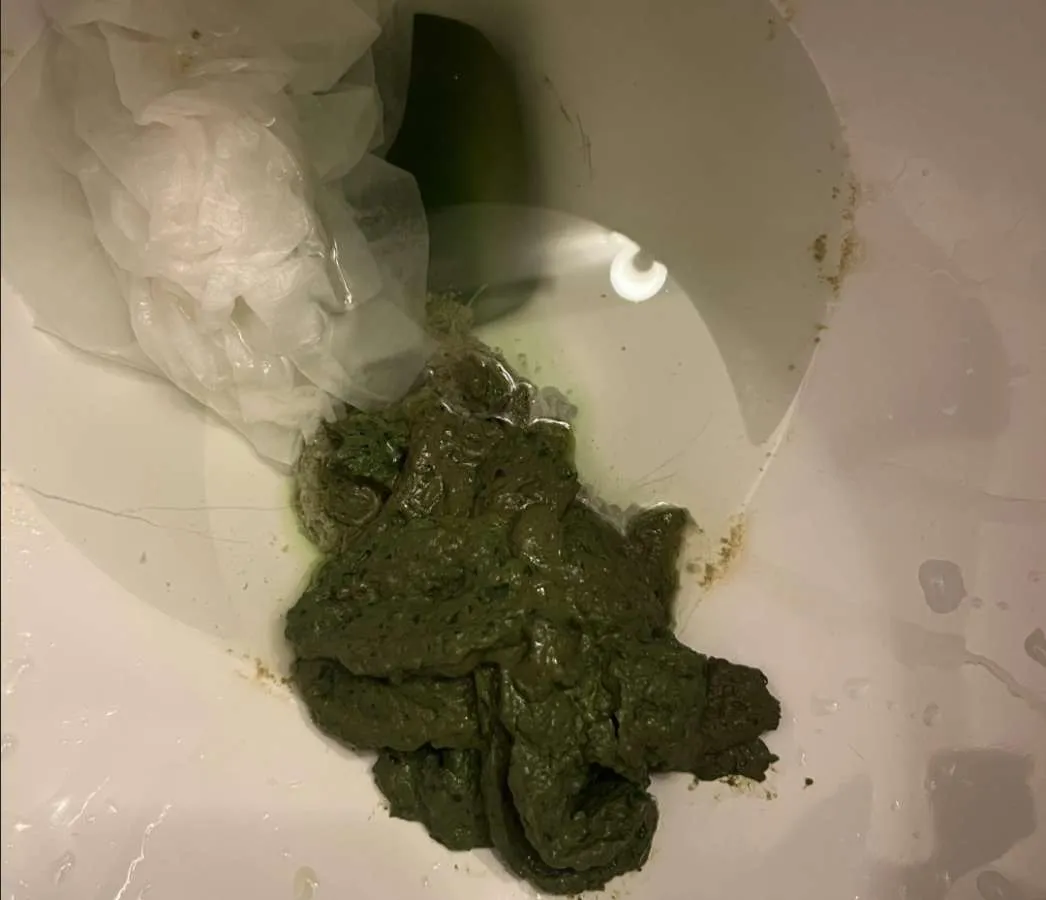 What a mess