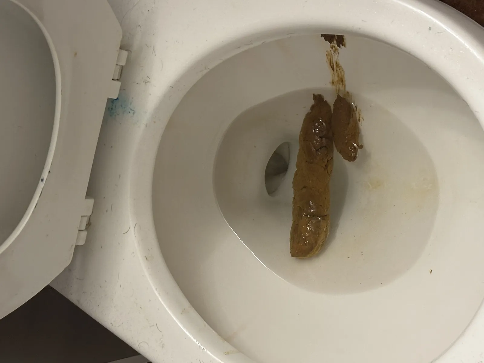 The finless brown trout