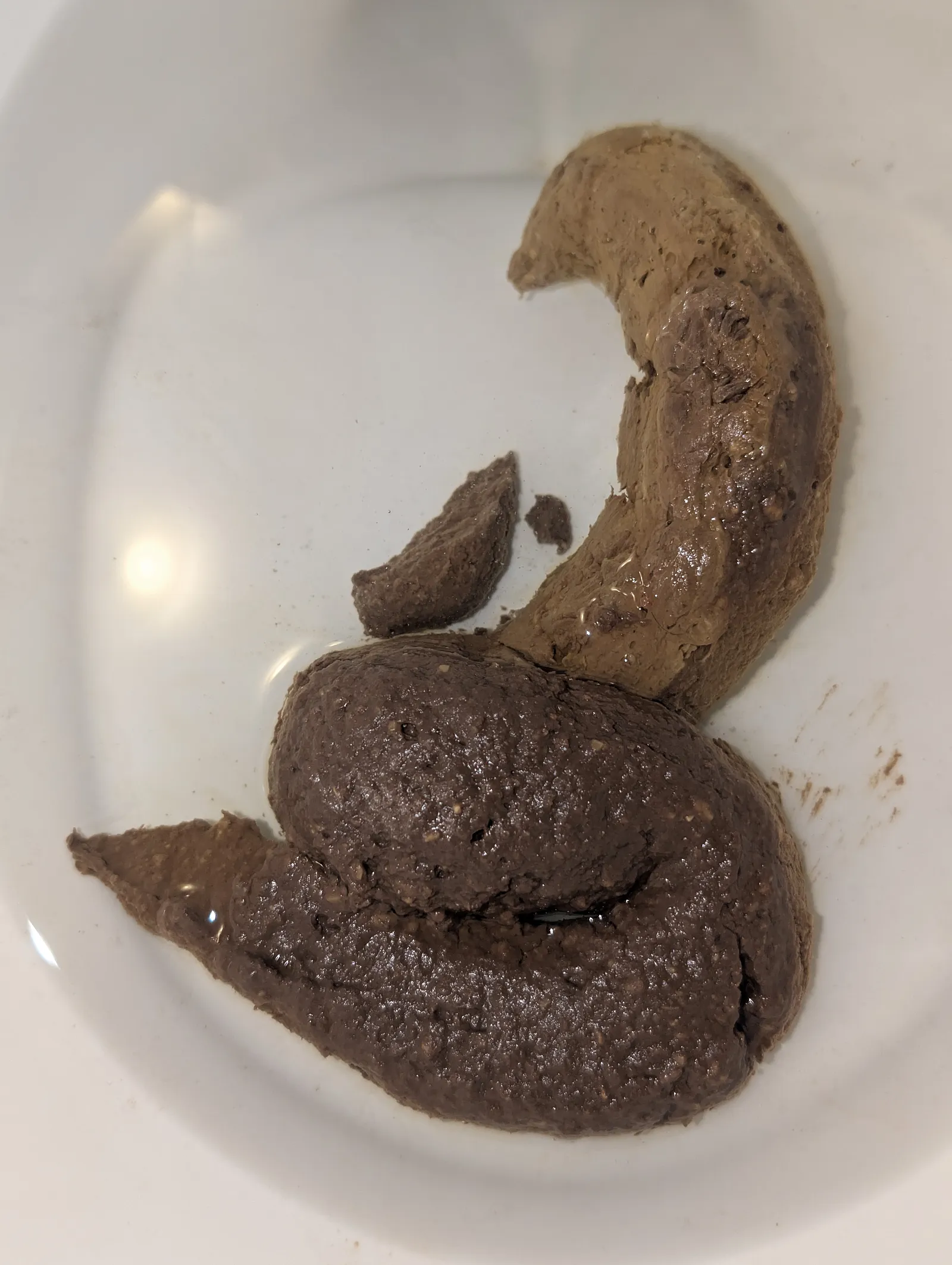 Two Tones Poop