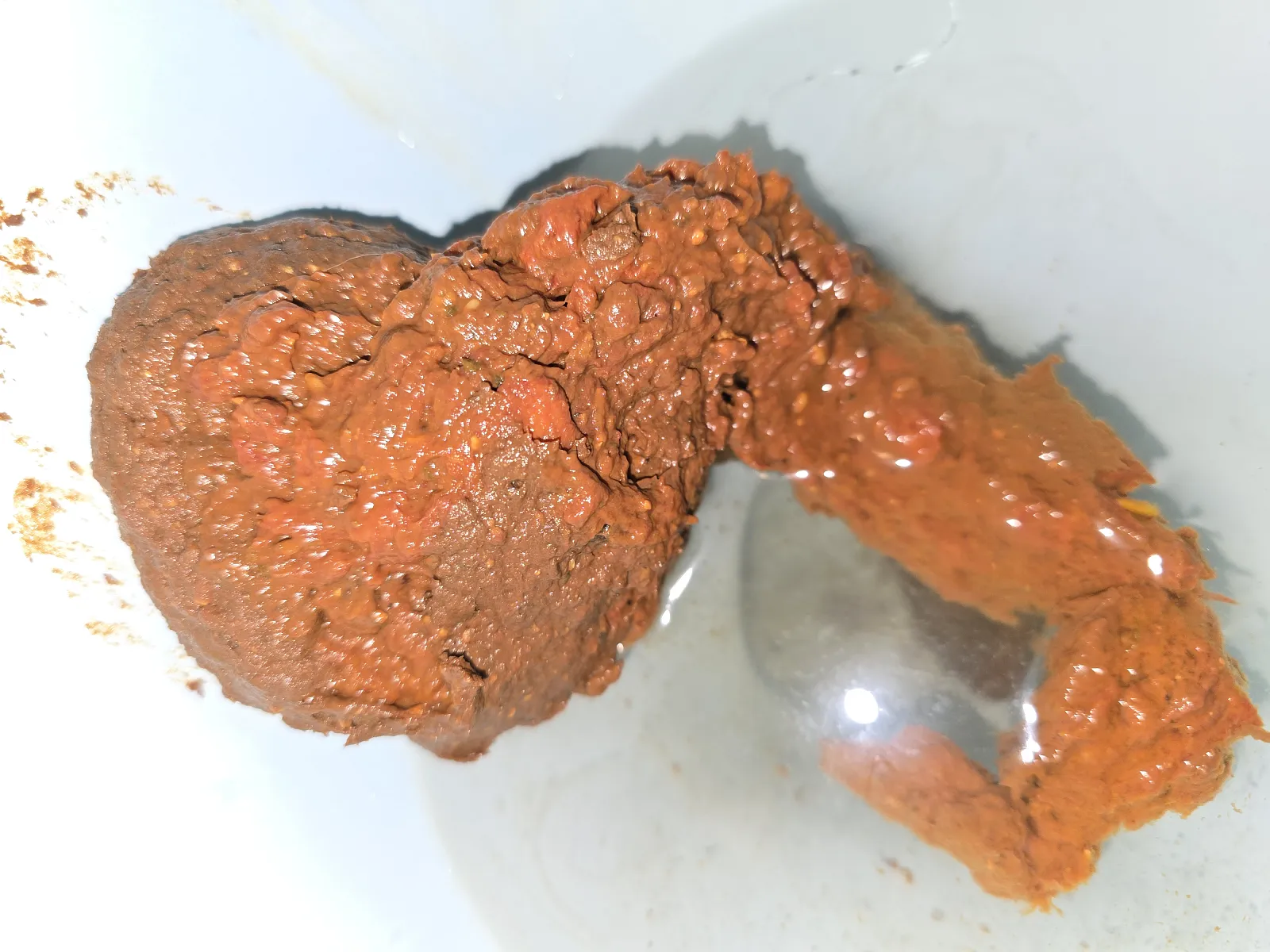 Orange Tadpole