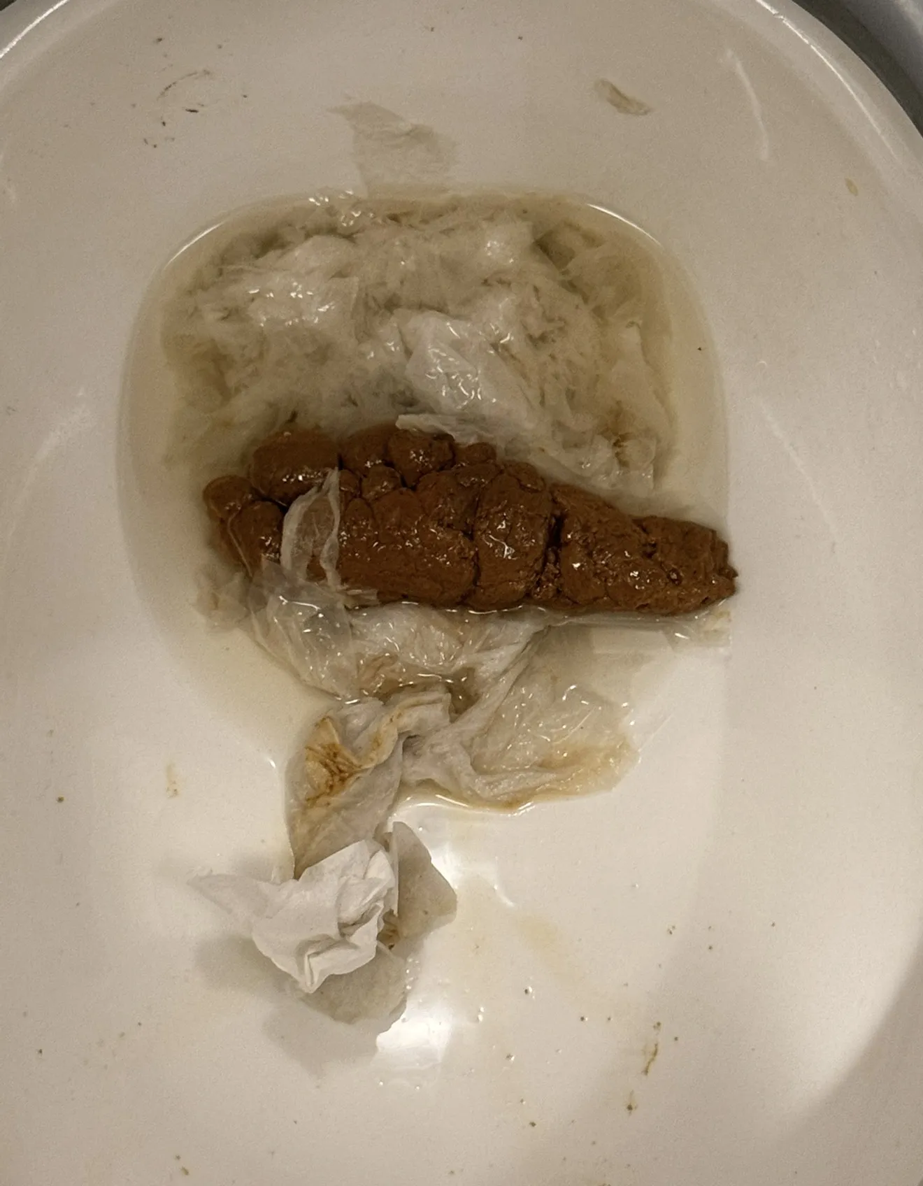 Services poo