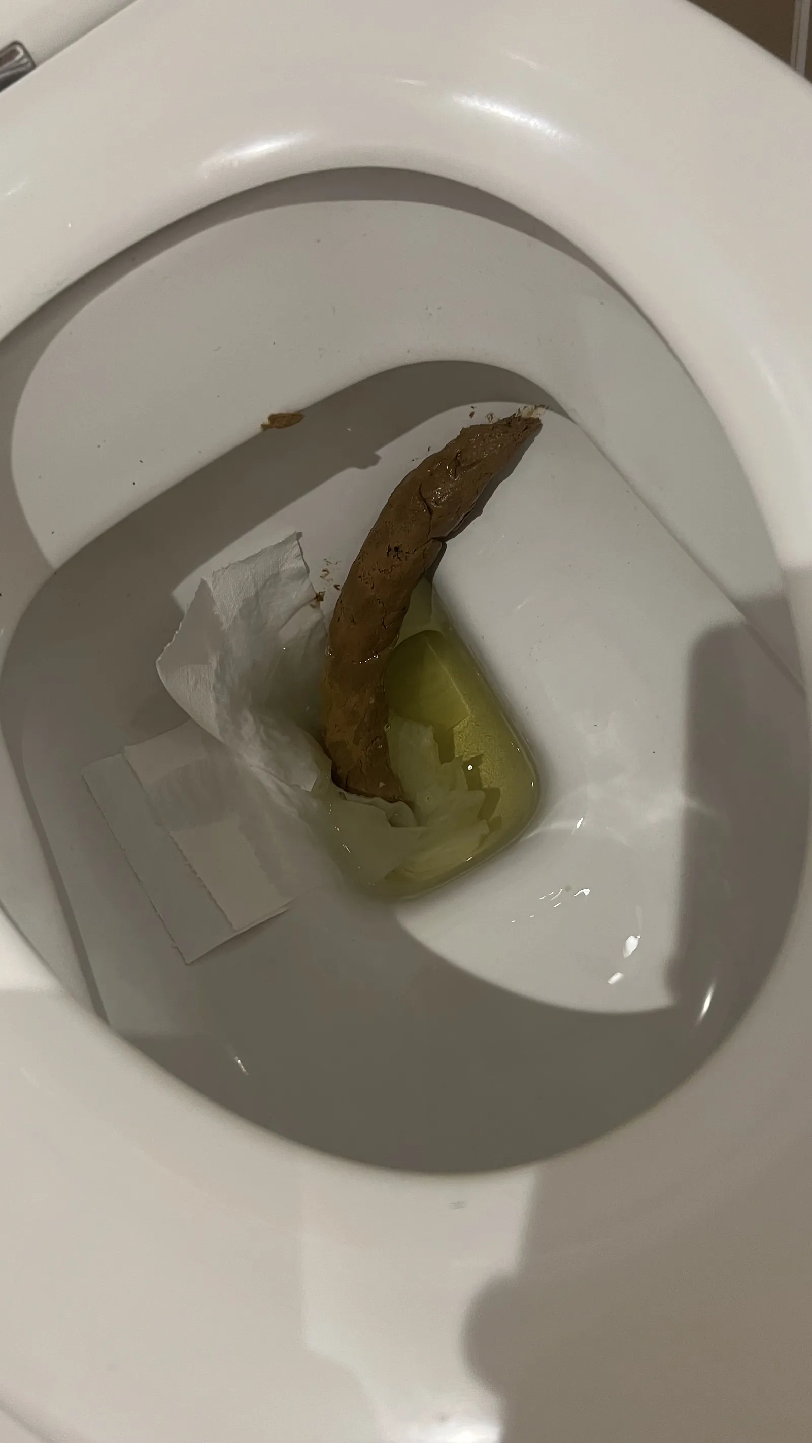 The snake