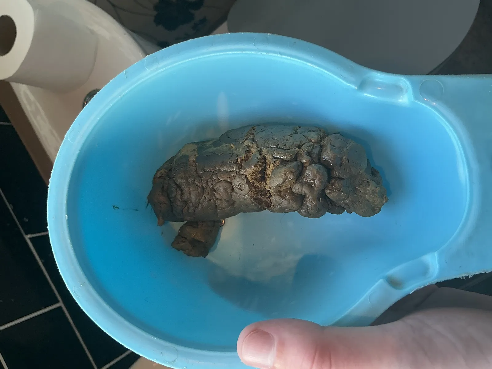 Poop big