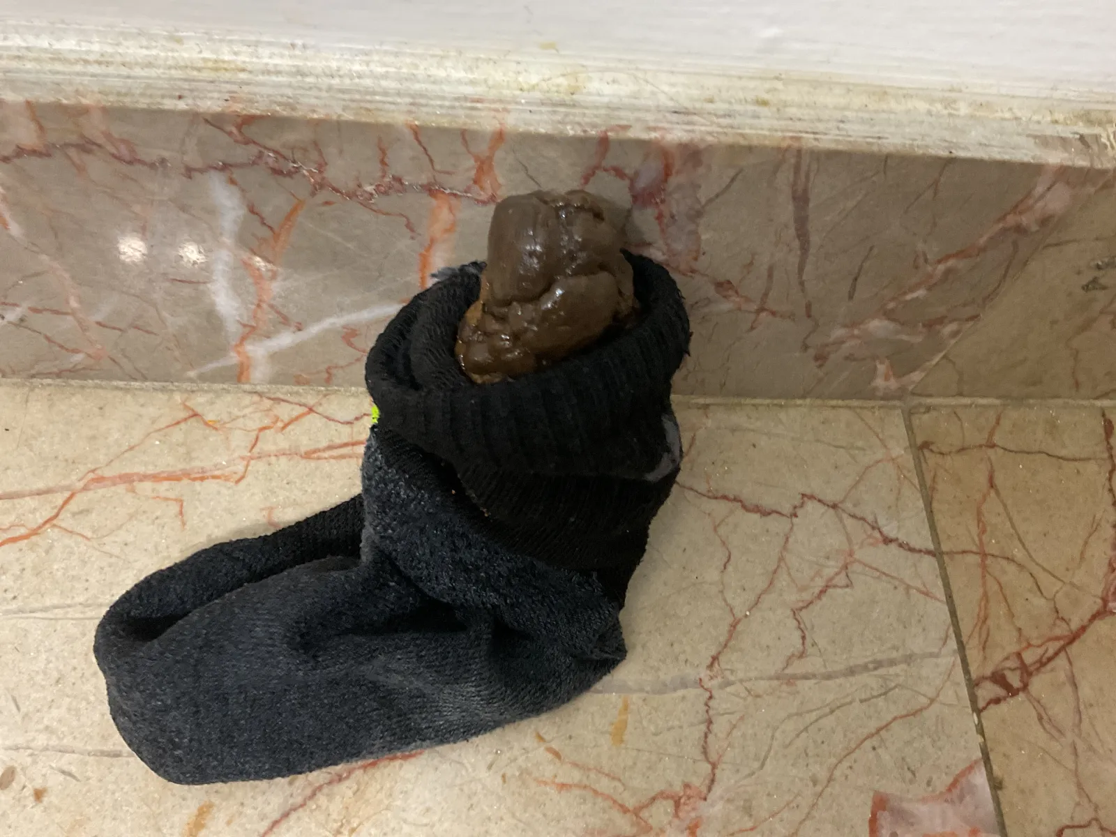 Poop sock