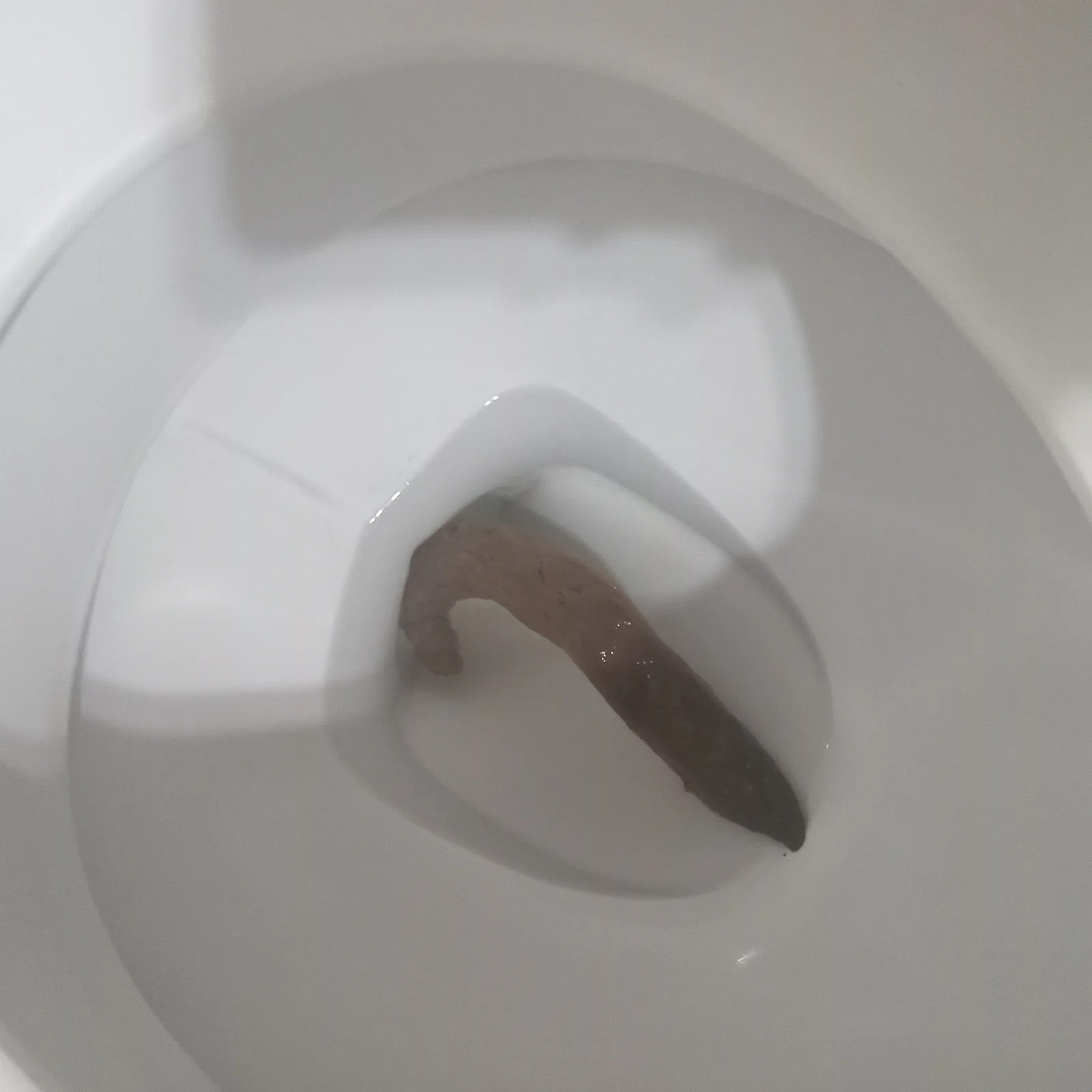 Long ass shit