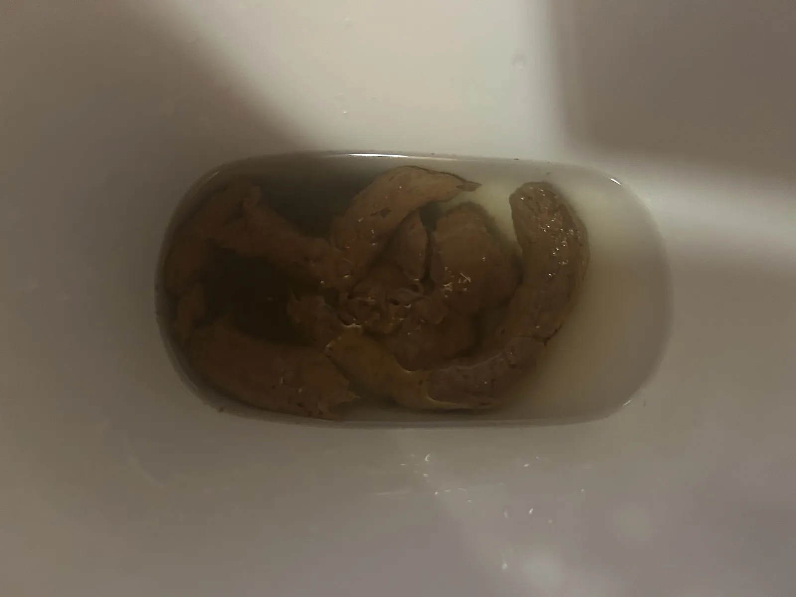 Long shits