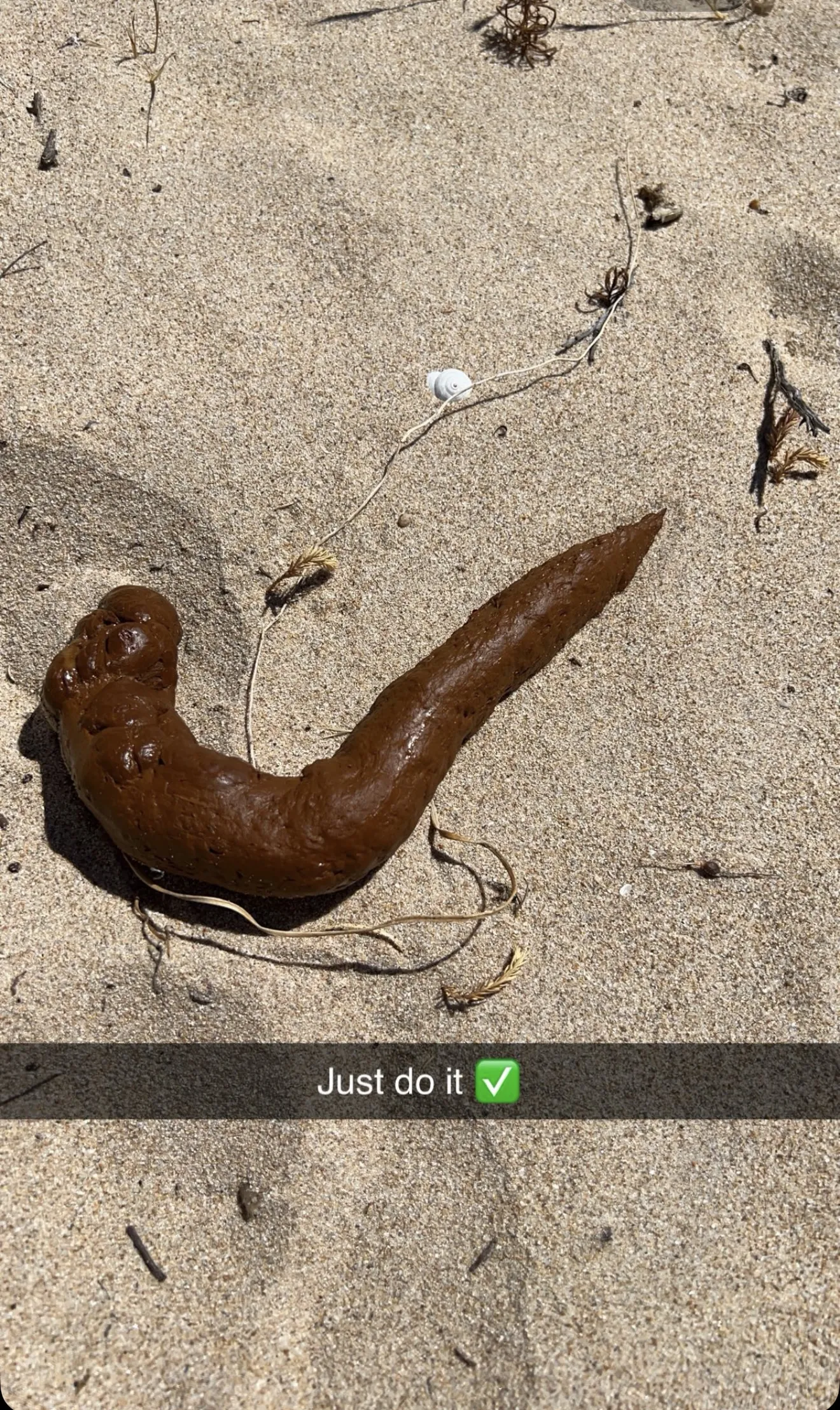 Nike Poo ✅