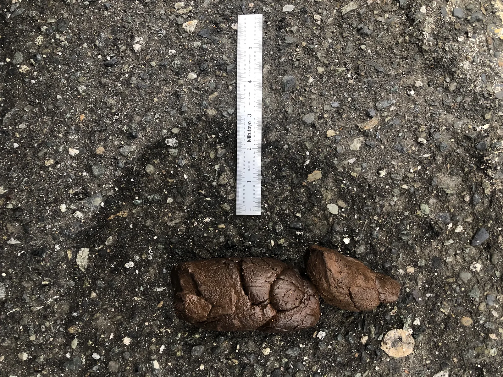 2” Thick