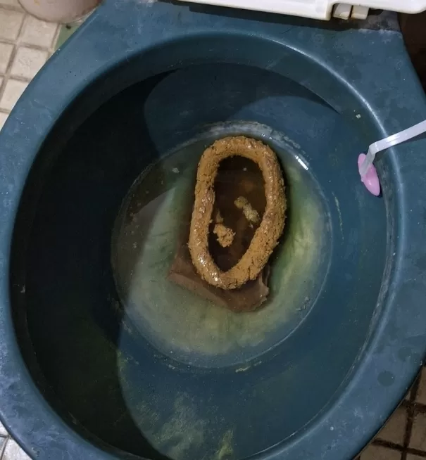 POOP CROWN