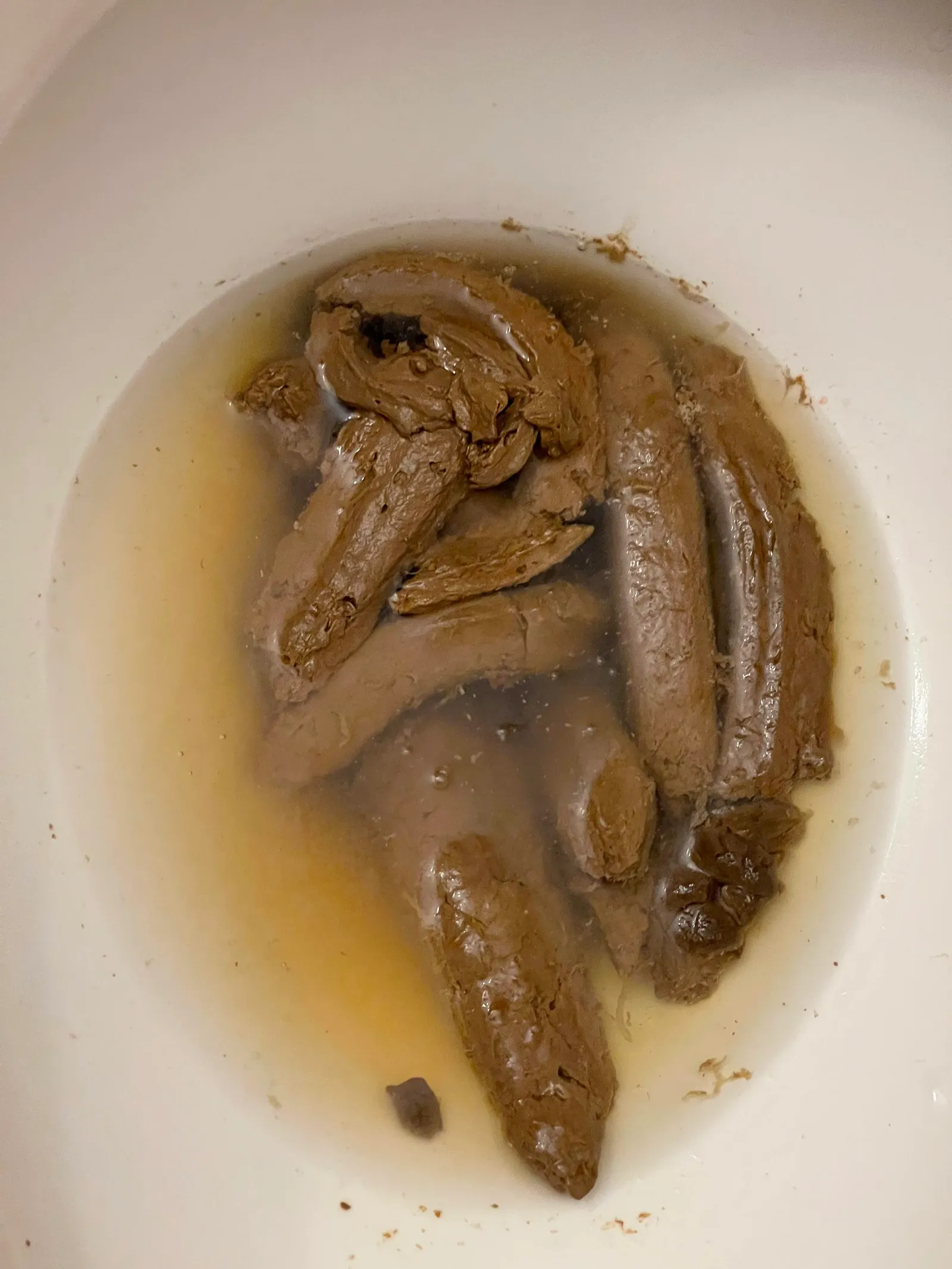 My girlfriend's poop is so much that it sticks out of the water.