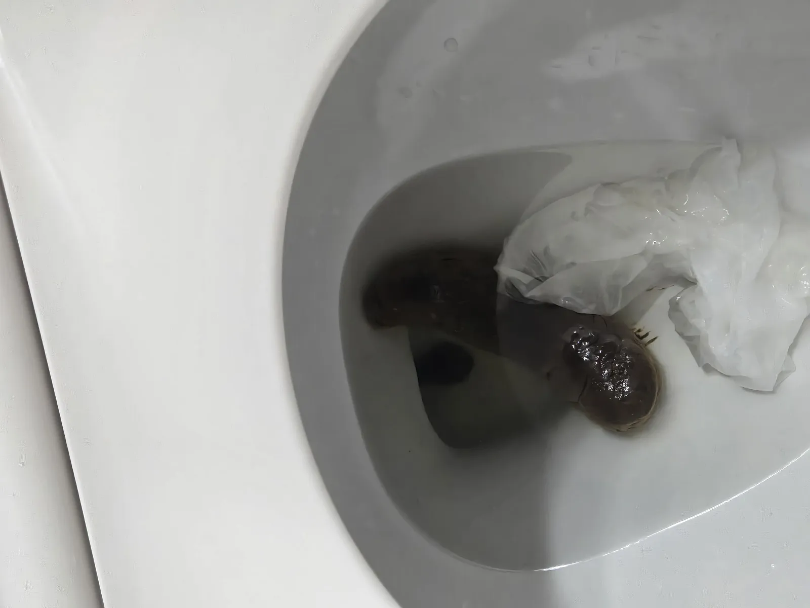 Big stinker