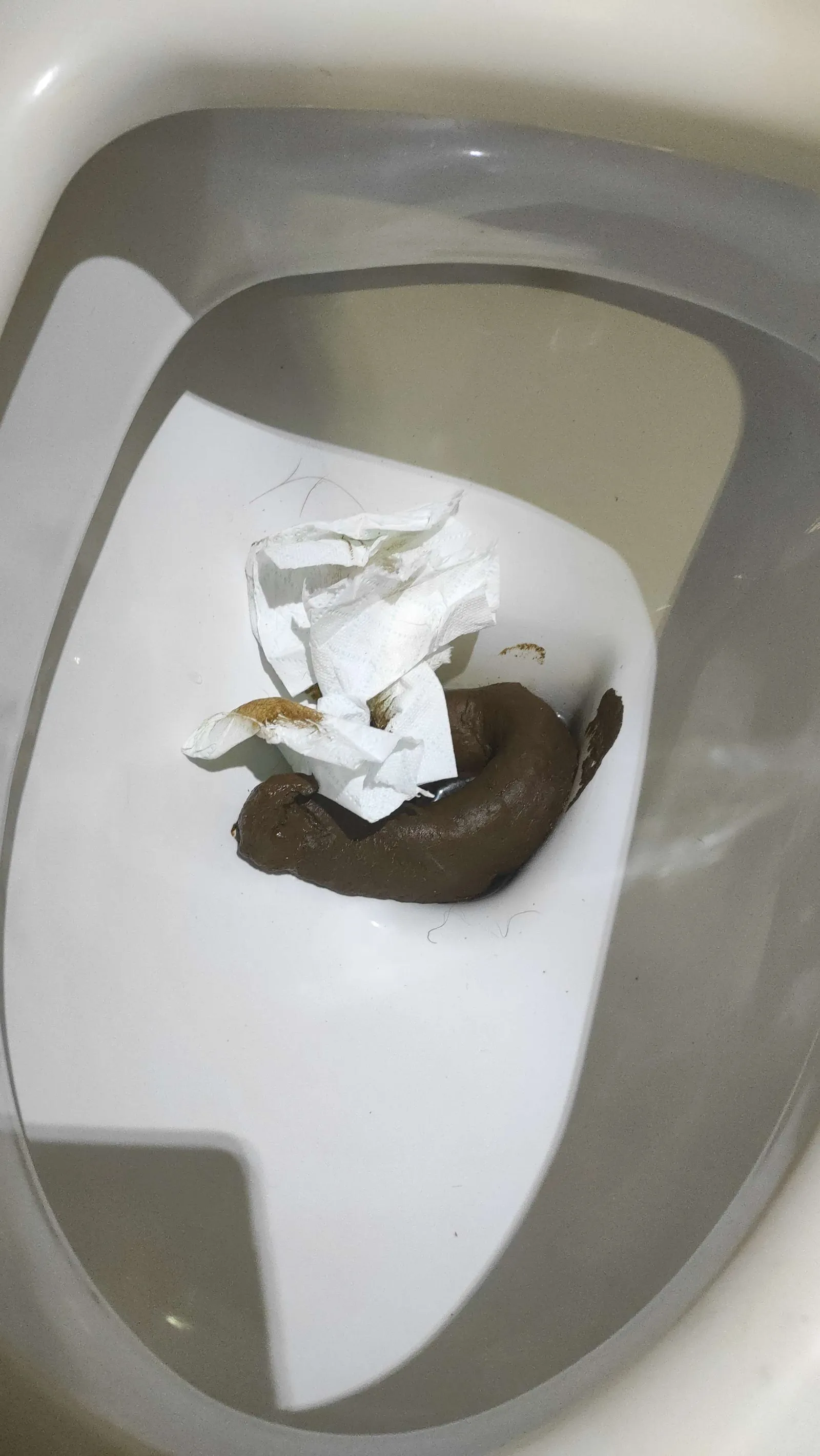 Anaconda