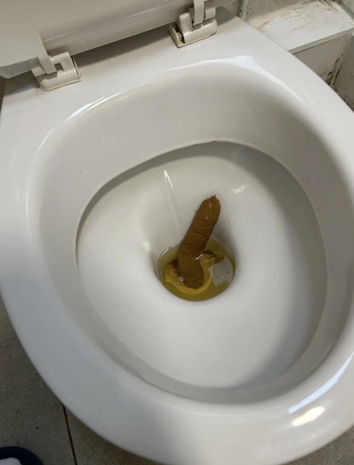 Perfectly Shaped Poo