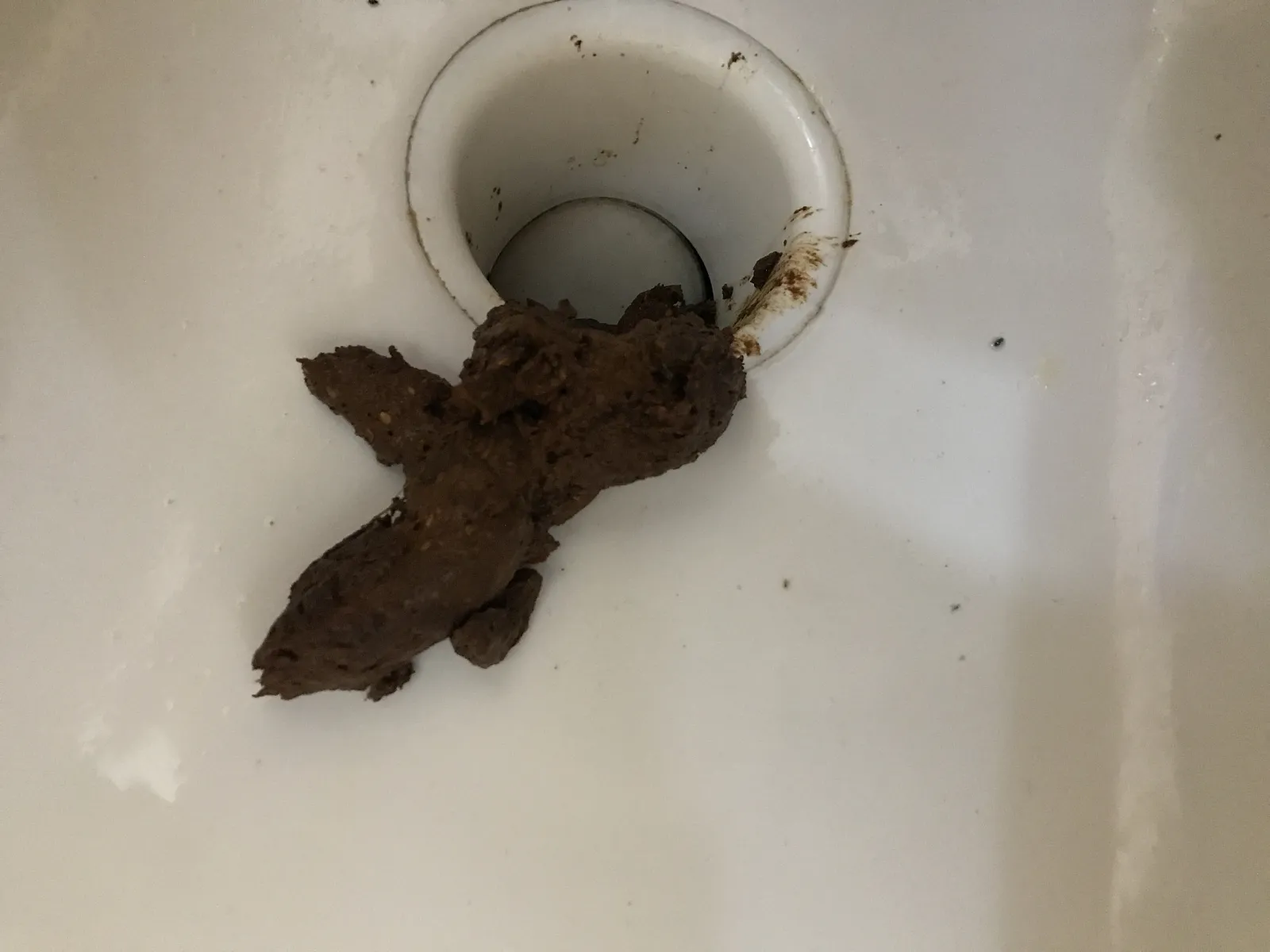 Poo
