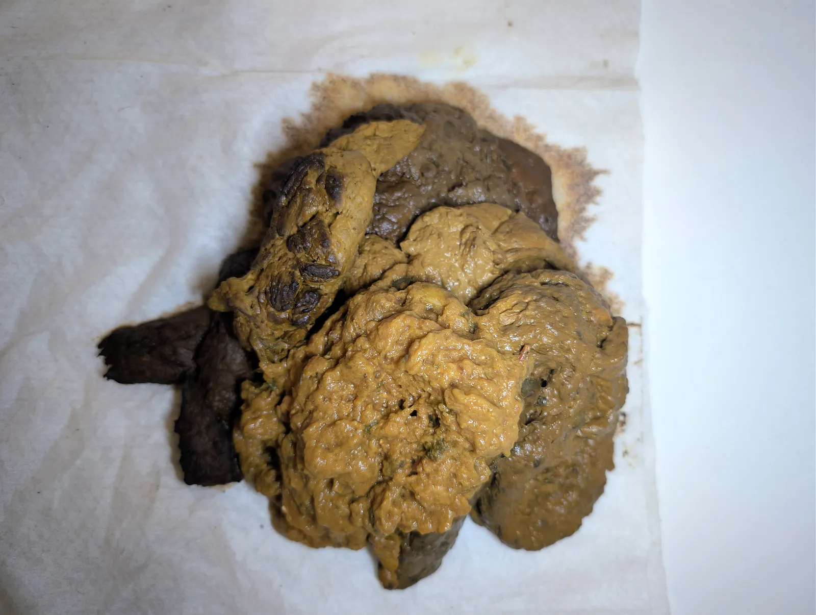 Mix of poops 3