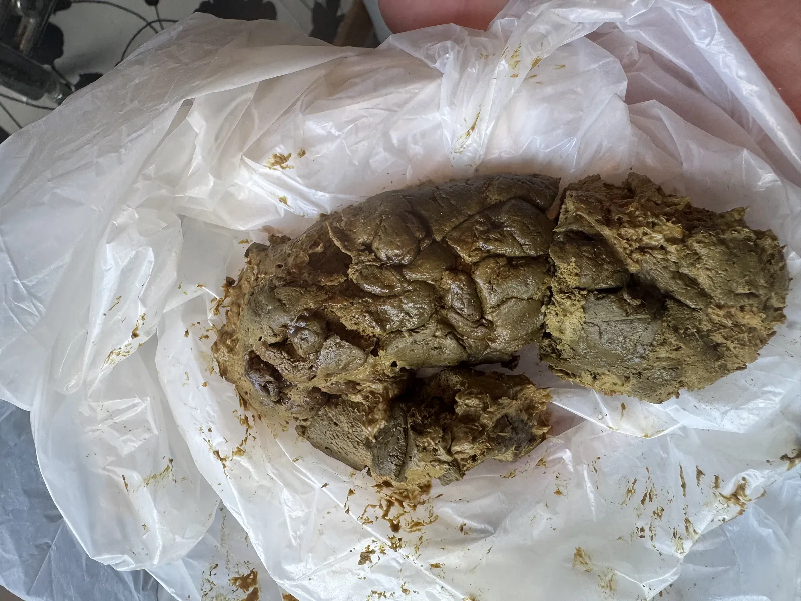 Poop big