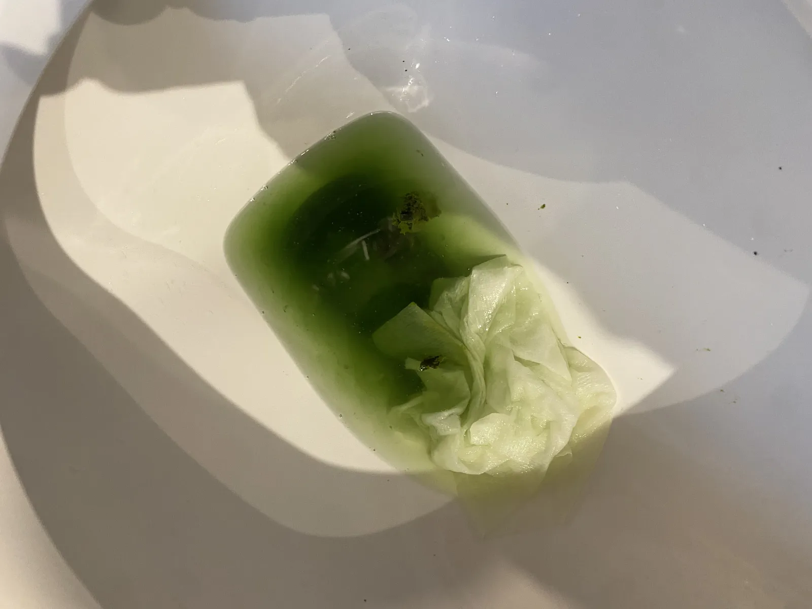 Green poop