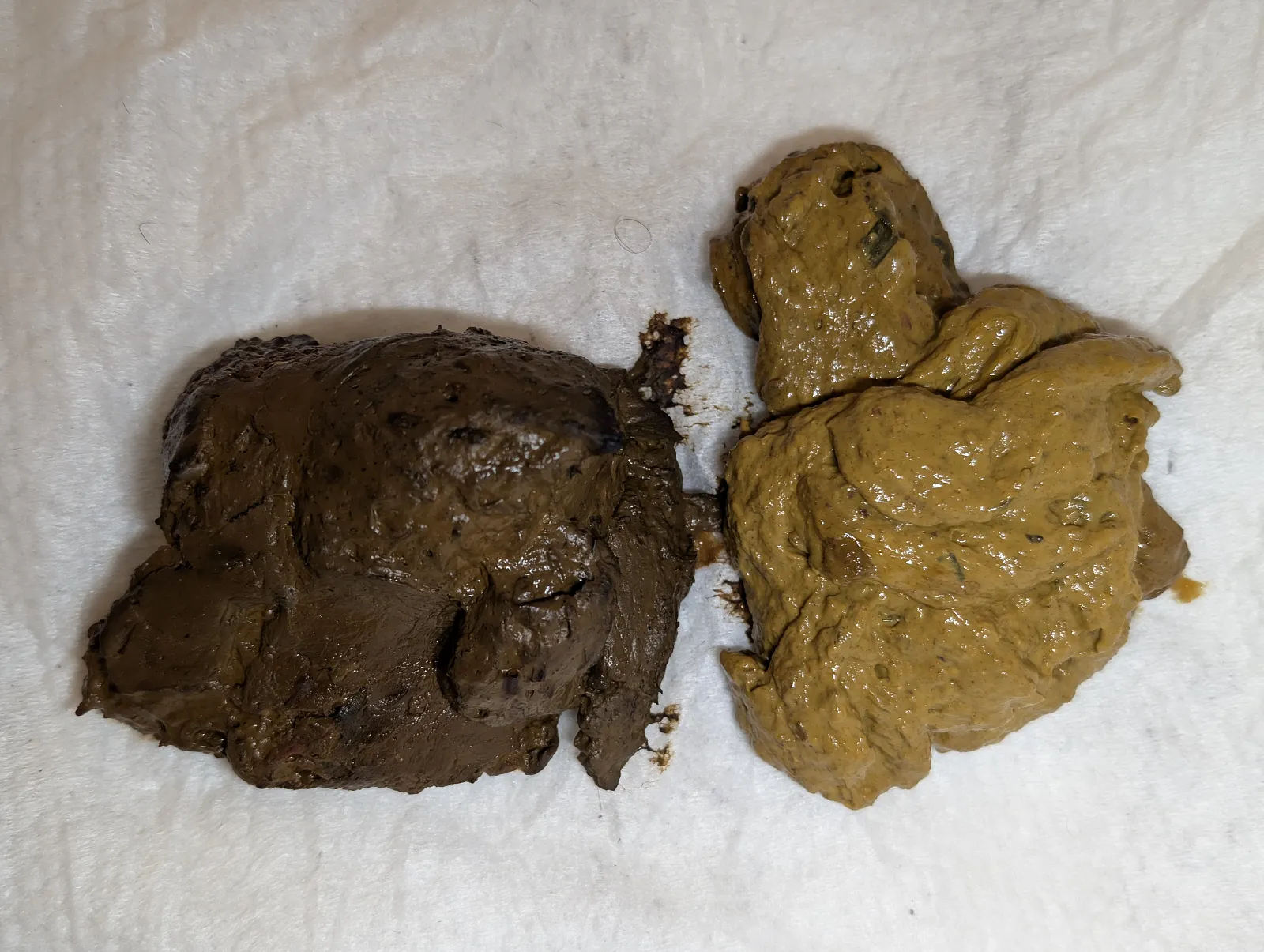 2 poops 2 colors