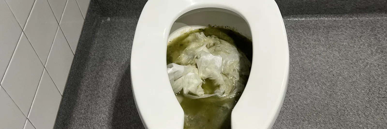 Disgusting clogged toilet