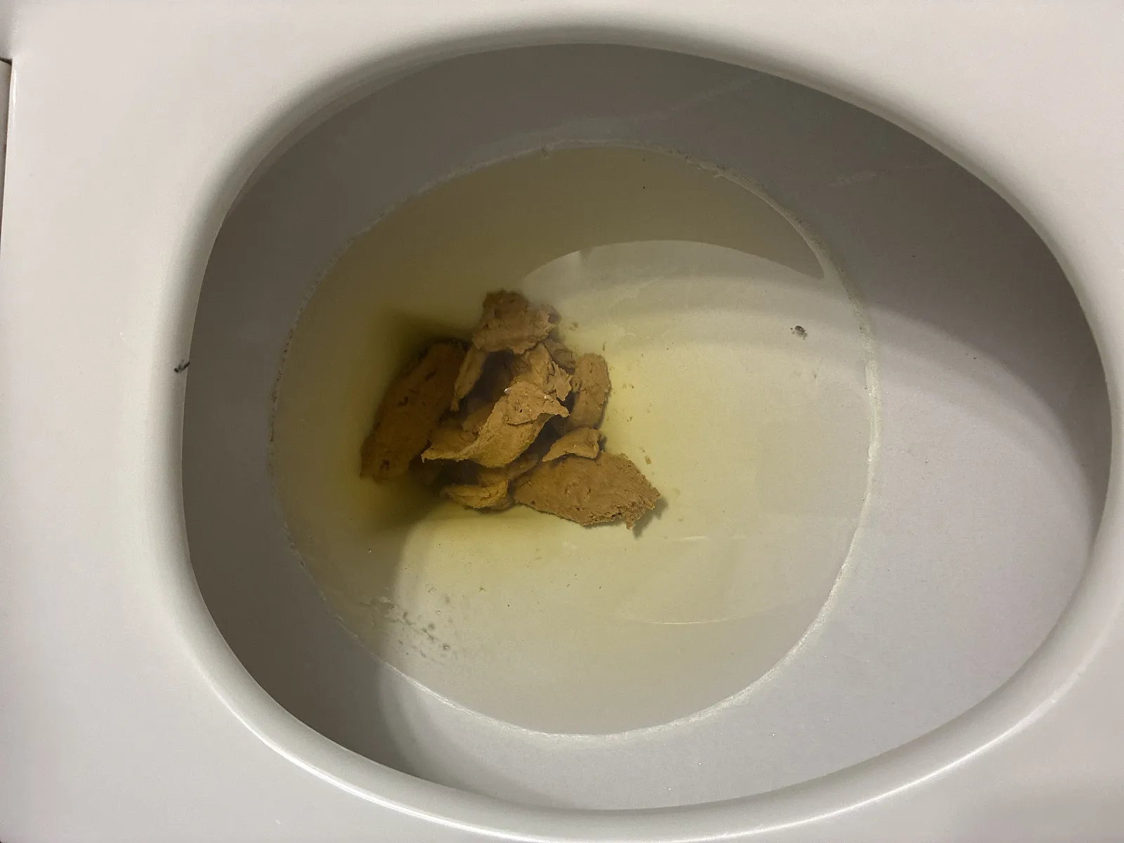 Brown bass in a pissy pond